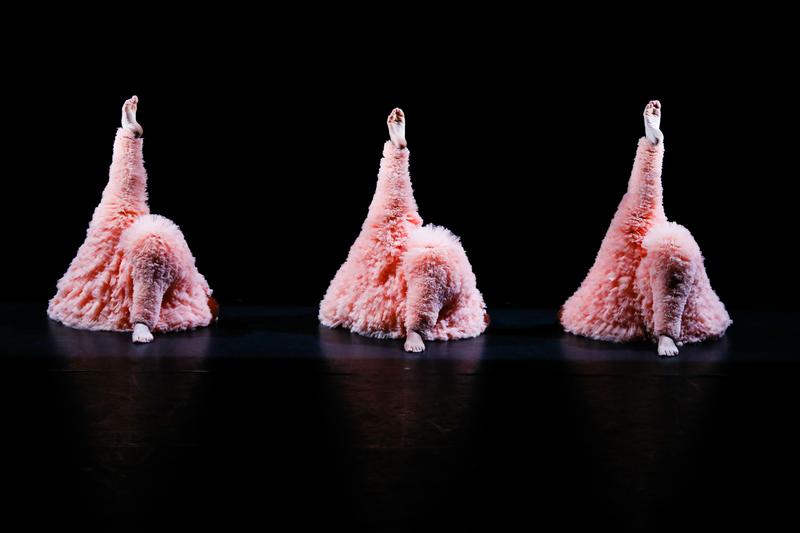 Chicos Mambo, Frankreich: "Tutu", Tanztheater