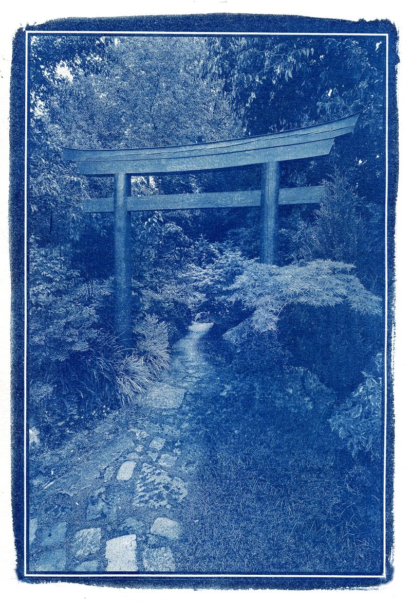 Bruno Weiß: Cyanotypie