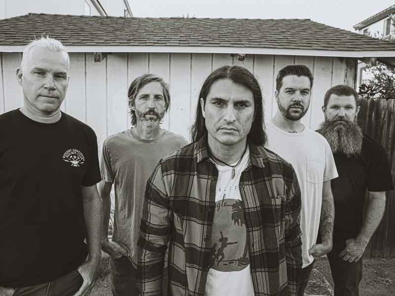 Ignite Cancer Bats