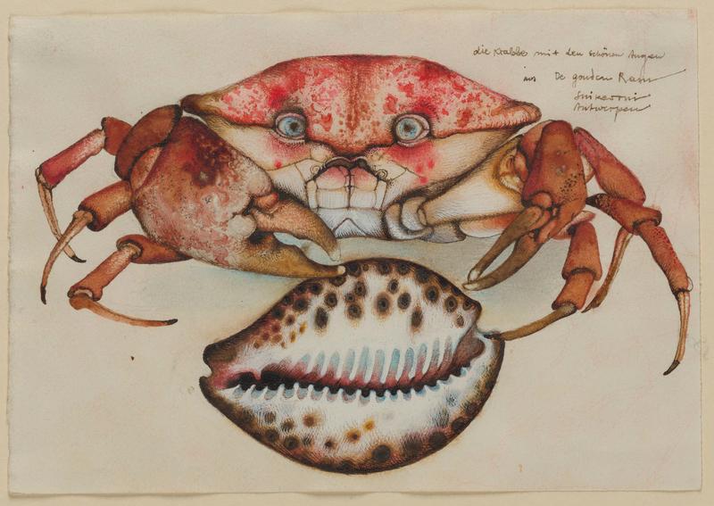 „Mit Dürer im Herzen - Die niederländische Reise von Michael Mathias Prechtl"