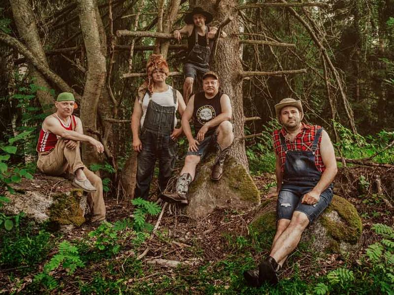 SteveNSeagulls