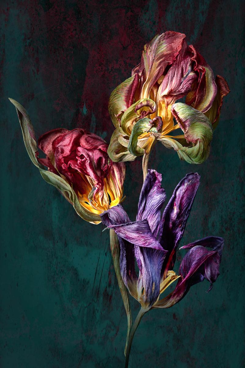 "Die Macht der Zeit - Über Würde, Vergänglichkeit und Freiheit. Künstlerische Positionen im Diskurs", Arbeiten von 9 Künster:innen